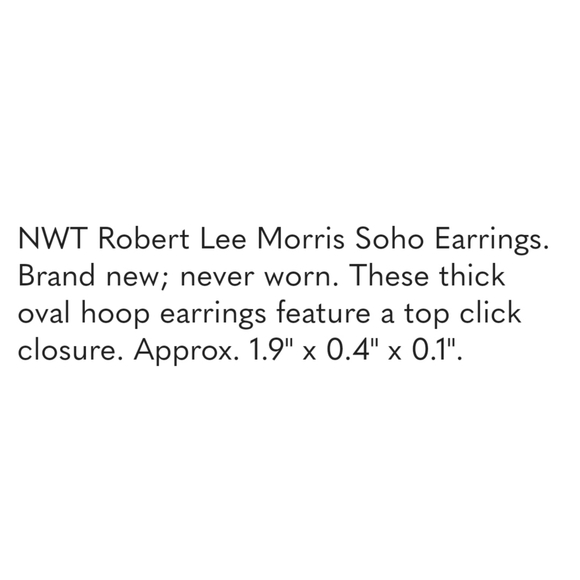 🏷 CLEARANCE! Robert Lee Morris Soho Thick Oval Hoop Earrings - Picture 7 of 7